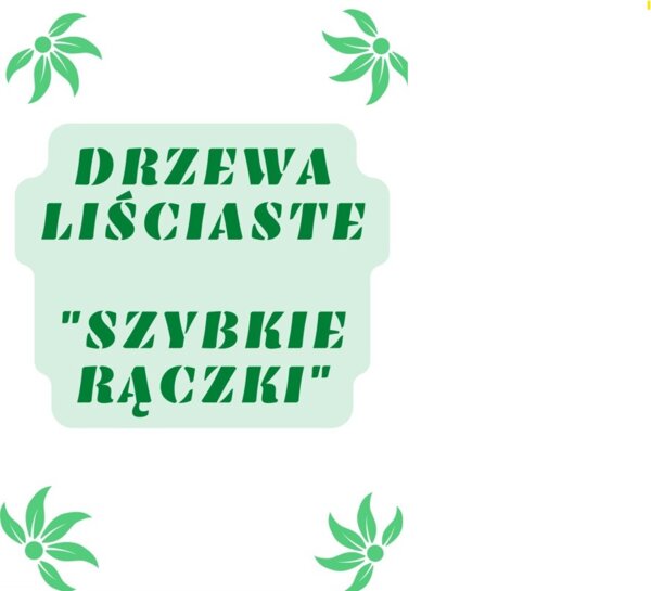 Szybkie rączki - drzewa liściaste