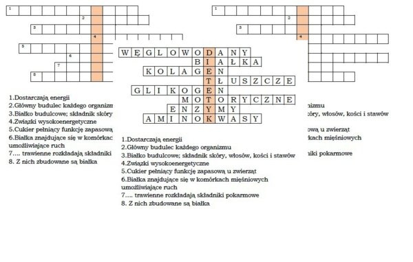 Logogryf na podsumowanie lekcji biologii w klasie 7 "Pokarm- budulec i źródło energii"