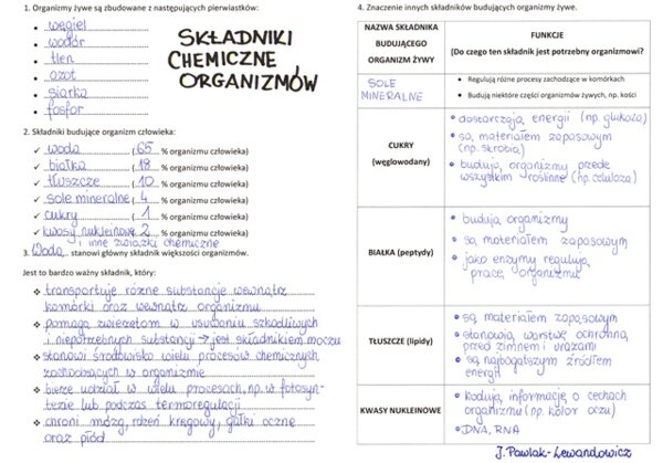 Składniki chemiczne organizmów - sketchnotka