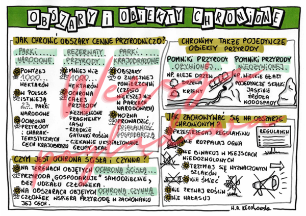 Obszary i obiekty chronione - przyroda klasa 4 -wypełniona karta pracy