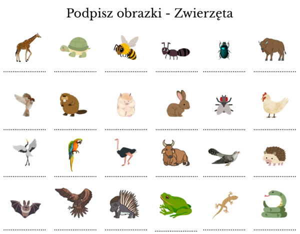 Zwierzęta - trudności ortograficzne