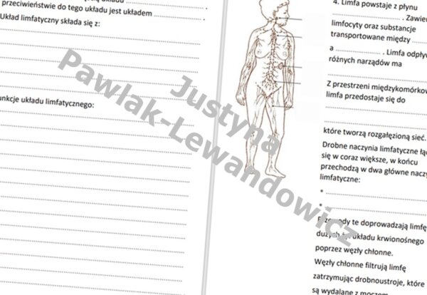 Układ limfatyczny (karta pracy)