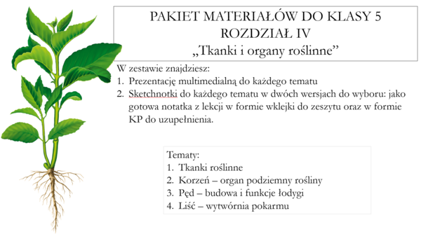 Pakiet materiałów do klasy 5 rozdział IV - Tkanki i organy roślinne