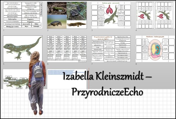 Materiał do zalaminowania/praca w grupach/stacje zadaniowe/układanka/puzzle + notatka okienkowa „Gady-kręgowce, które opanowały ląd” w pdf. Biologia 6, dział „Kręgowce zmiennocieplne”.