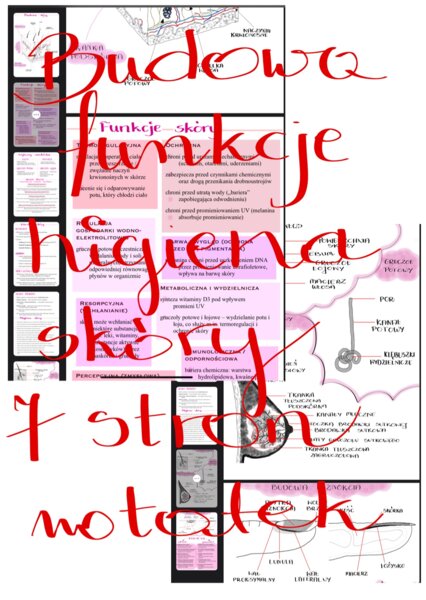 7 stron notatek - skóra