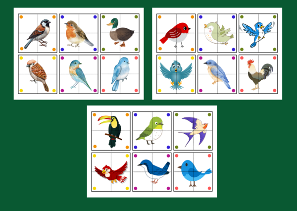 DZIEŃ PTAKÓW – puzzle – układanka- układanki – biblioteka – świetlica – przedszkole – 36 wersji – WIOSNA