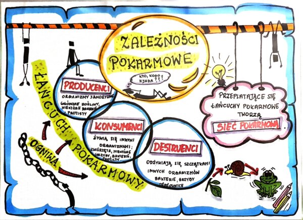 Klasa 4. Przyroda. Karta pracy. Zależności pokarmowe