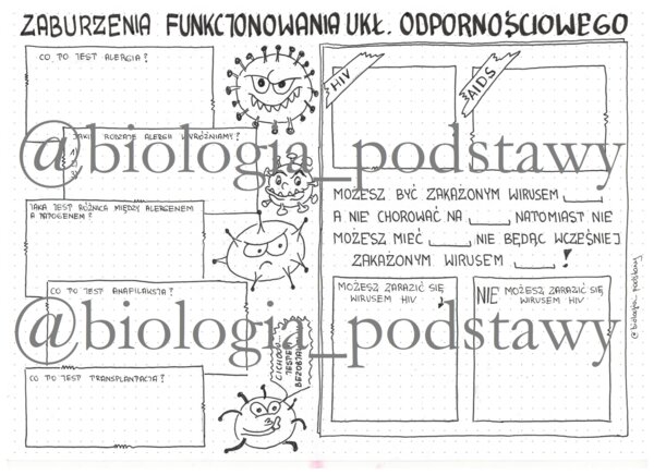 Klasa 7 - Zaburzenia funkcjonowania układu odpornościowego - sketchnotka