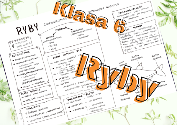 Klasa 6. Biologia. Ryby