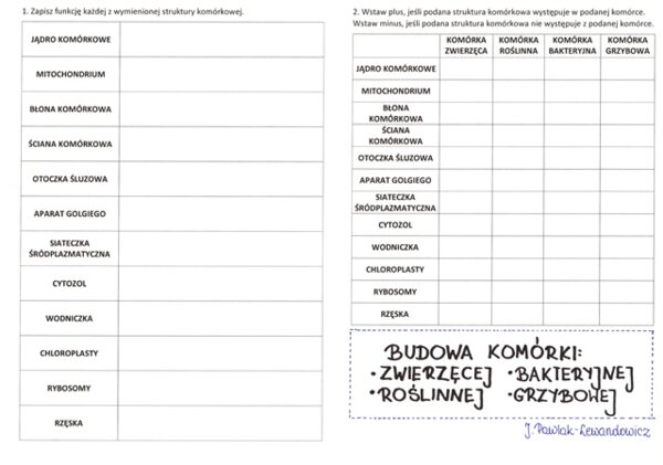 Budowa komórki zwierzęcej, roślinnej, bakteryjnej i grzybowej - karta pracy