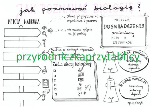 Jak poznawać biologię?