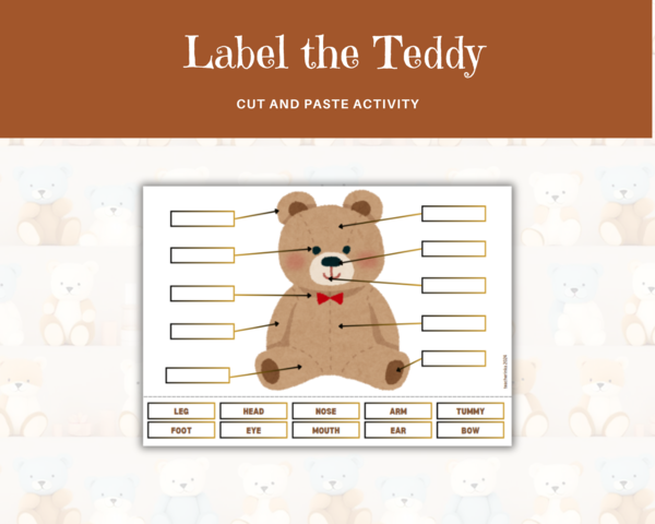 Label the Teddy - nauka Części Ciała z Pluszowym Misiem – zadania na wycinanie i przyklejanie, język angielski