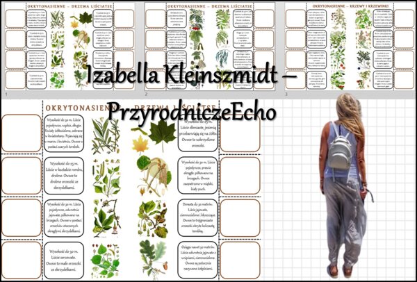Notatki okienkowe/stacje zadaniowe/notatki/notatki graficzne/karty pracy/sketchnotki „Przegląd i znaczenie roślin okrytonasiennych” „Rozpoznawanie roślin okrytonasiennych” w pdf. Biologia 5 dział „Różnorodność roślin”.