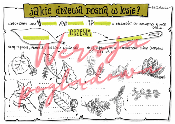 Jakie drzewa rosną w lesie? -przyroda kl. 4