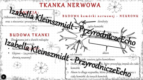 Sketchnotka - notatka „Tkanka nerwowa” wykonana w power point do edycji. Biologia 6; „Świat zwierząt”