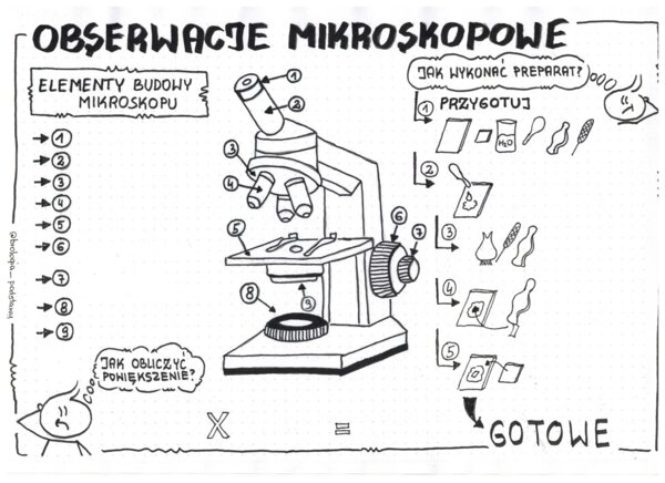 Obserwacje mikroskopowe - klasa 5 - KP