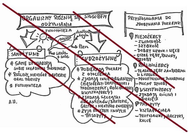 Organizmy różnią się sposobem odżywiania
