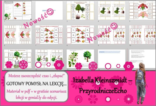 Pomysł na lekcję/karta pracy/stacje zadaniowe/materiał do lekcji do tematu „Okrytonasienne” w pdf. W gratisie niekomercyjny scenariusz lekcji/pomysł na lekcję w programie genial.ly do edycji. Biologia 5. Dział „Różnorodność roślin”.