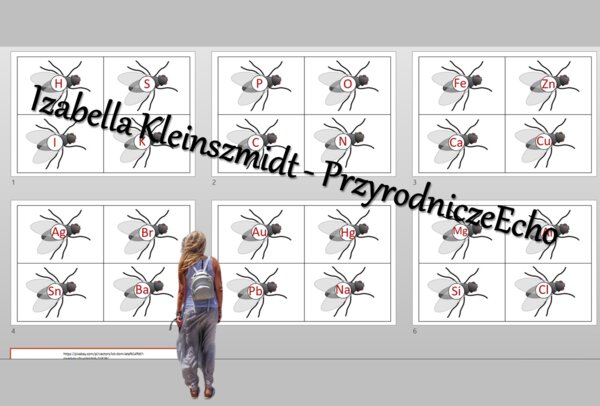 Gra "Muchy" - symbole pierwiastków. Chemia 7 i 8. Do zalaminowania w power point.