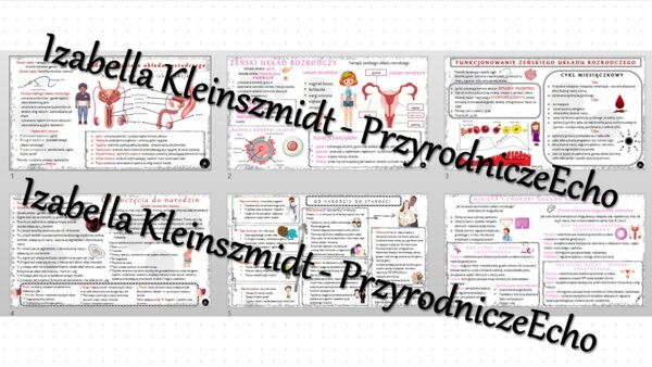 Zestaw sketchnotek – notatek do całego działu „Rozmnażanie i rozwój człowieka” wykonanych w power point do edycji. Biologia 7