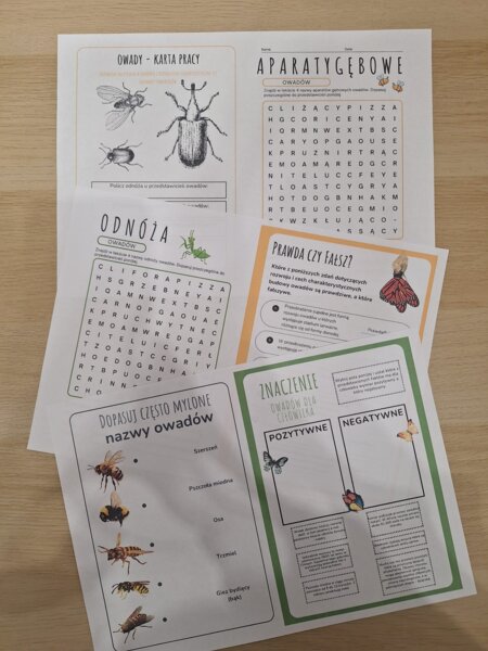Owady - nowoczesna karta pracy