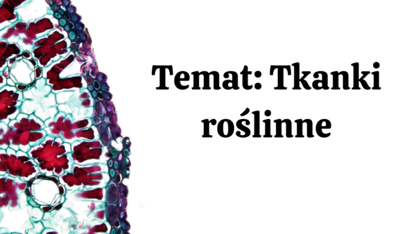 Tkanki roślinne KLASA 2 ROZSZERZENIE