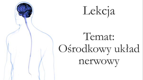 Klasa 7 - Ośrodkowy układ nerwowy - prezentacja