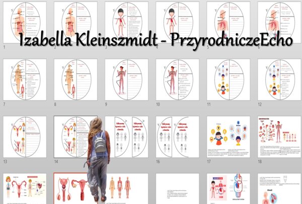 Karty pracy i sketchnotki do wykonania okrągłej książeczki. Układu narządów człowieka. Przyroda 4, „Odkrywamy tajemnice ciała człowieka”.
