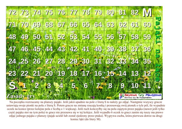 Pająki na łące – Gra planszowa