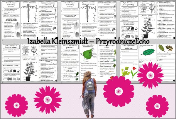 Zestaw sketchnotek/książeczek/notatek/wklejek/ściąg dla ucznia i przypomnień dla nauczyciela/edukacja domowa w pdf do całego działu. Biologia 5, dział „Tkanki i organy roslinne”. Nowość 2024/2025.