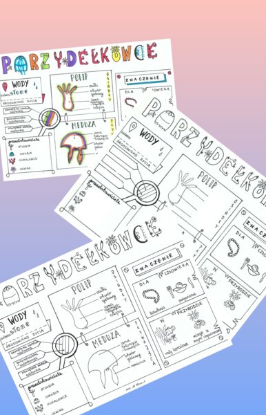 Parzydełkowce - klasa 6