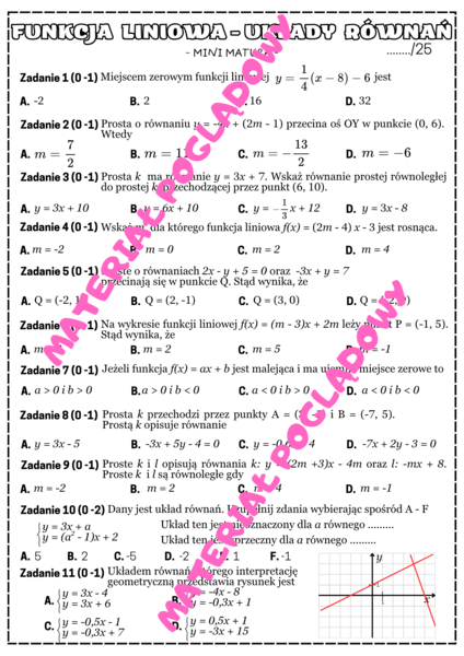 Mini matura. Matematyka - funkcja liniowa, układy równań