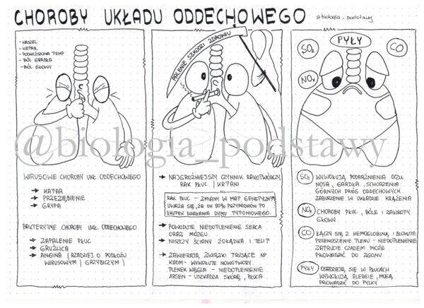 Klasa 7 - Choroby układu oddechowego