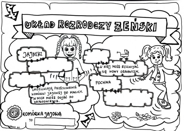 Klasa 4. Przyroda: Układ rozrodczy żeński (dwie karty pracy).