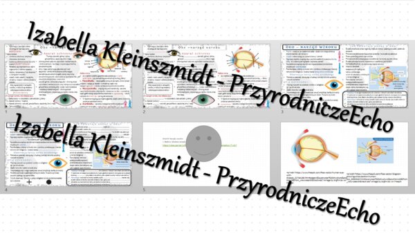 Minizestaw na temat „Budowa i działanie narządu wzroku” – sketchnotka + karta pracy w power point + gratisowy link do prezentacji multimedialnej niekomercyjnej wykonanej w genial.ly do indywidualnego pobrania i użycia do celów niekomercyjnych. Biologia 7