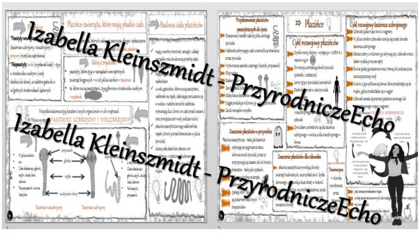 Sketchnotka - notatka „Płazińce – zwierzęta, które mają płaskie ciało” wykonana w power point do edycji. Biologia 6; „Od parzydełkowców do pierścienic”
