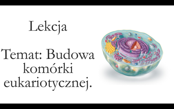 Klasa 1 ( podstawa ) - Budowa komórki eukariotycznej - prezentacja