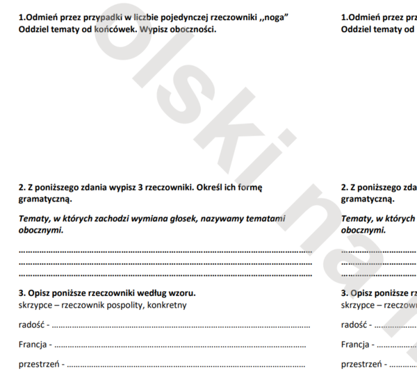 Kartkówka z rzeczownika