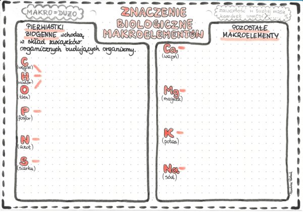 Makroelementy - znaczenie biologiczne