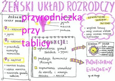 Klasa 7. Biologia. Żeński układ rozrodczy