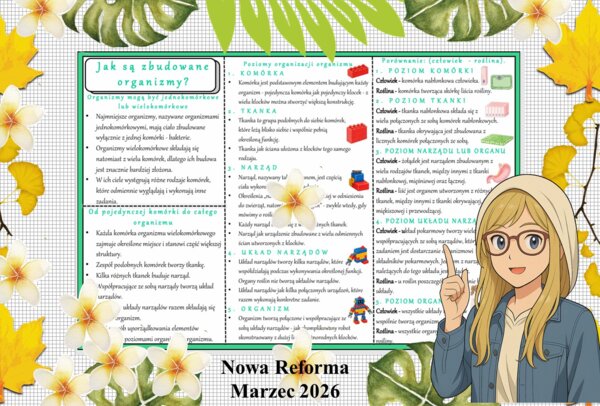 Sketchnotka/notatka - dla ucznia i przypomnienie dla nauczyciela w pdf. Temat " Jak są zbudowane organizmy?". Przyroda 4. "Odkrywam przyrodę" zgodna z wydawnictwem Nowa Era. Dział "Jak działają organizmy?".