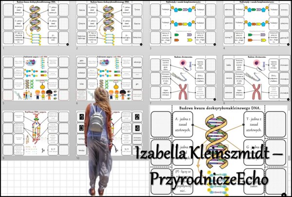 Notatka okienkowa/stacja zadaniowe/notatka/notatka graficzna/karta pracy/sketchnotka „Nośnik informacji genetycznej – DNA”, „Budowa DNA, replikacja, pojęcia” w pdf. Biologia 8 dział „Genetyka”. Materiał wykonany na podstawie podręcznika z wydawnictwa Now