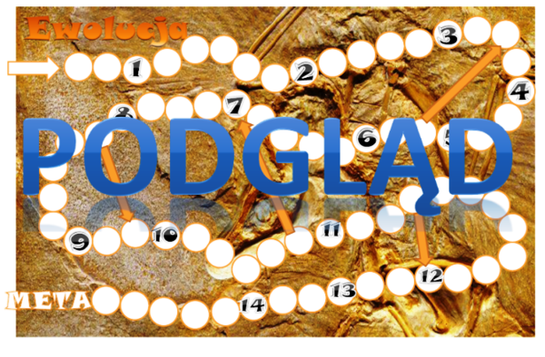 Ewolucja życia - gra planszowa