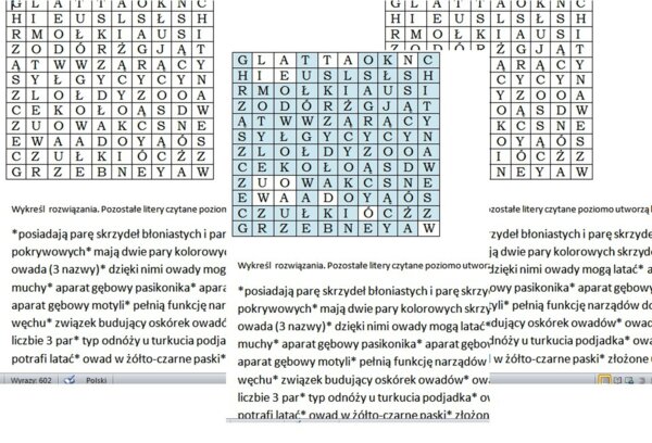 Skrzydlate wyzwanie- gotowa wykreślanka o owadach dla klasy 6