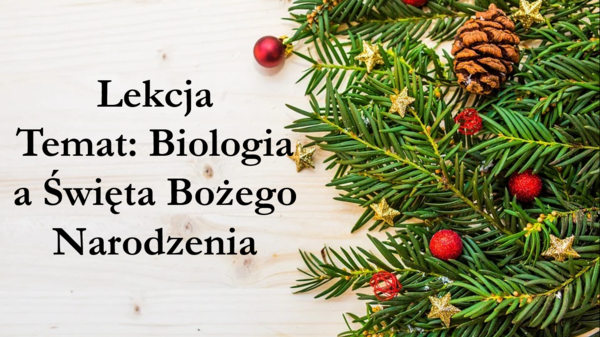 Prezentacja biologiczna: Biologicznie o Świętach Bożego Narodzenia