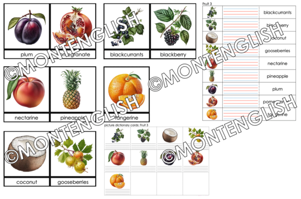 Zestaw kart obrazkowych: FRUIT SET 3