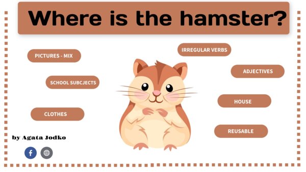 Where is the hamster?