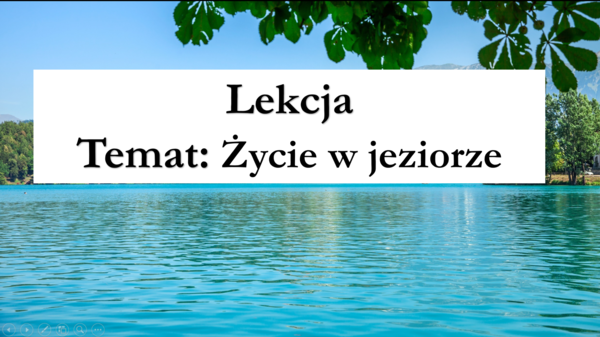 Klasa 4 - Życie w jeziorze - prezentacja