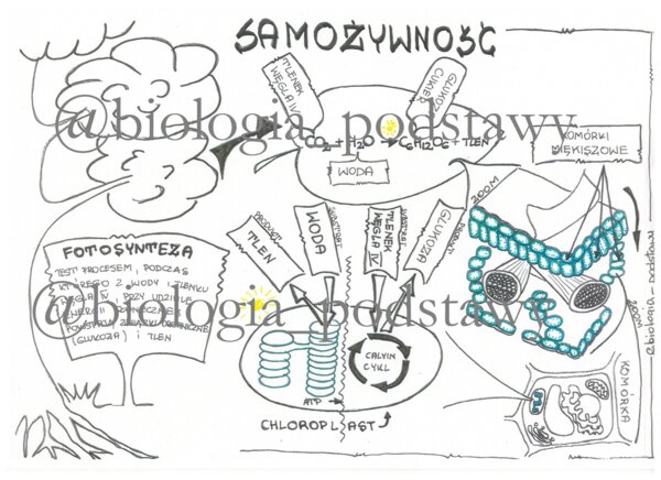 Klasa 5 - Samożywność - sketchnotka