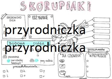 Klasa 6. Biologia. Skorupiaki - karta pracy